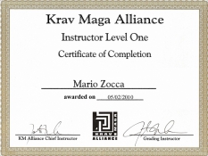 Mario  Zocca
